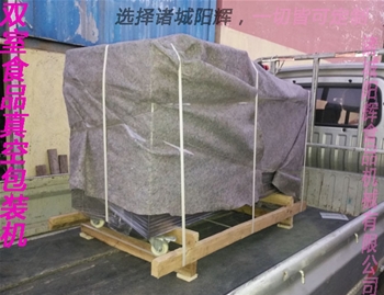 梧州雙室真空包裝機
